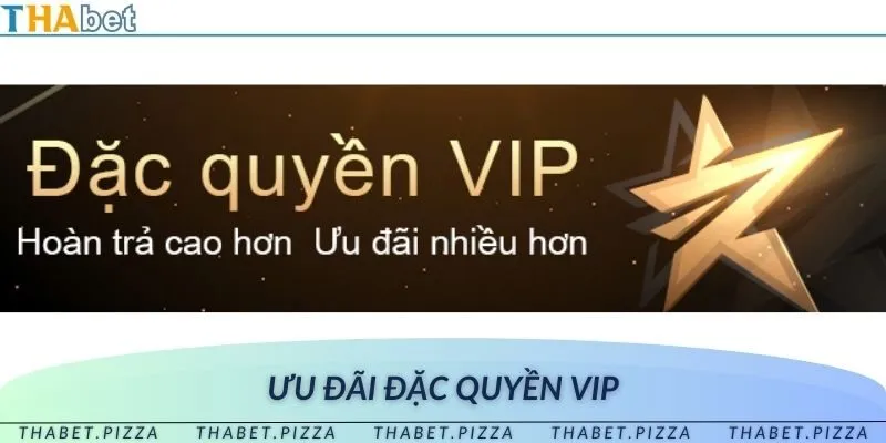 Nâng cấp VIP, nhận ưu đãi đỉnh cao